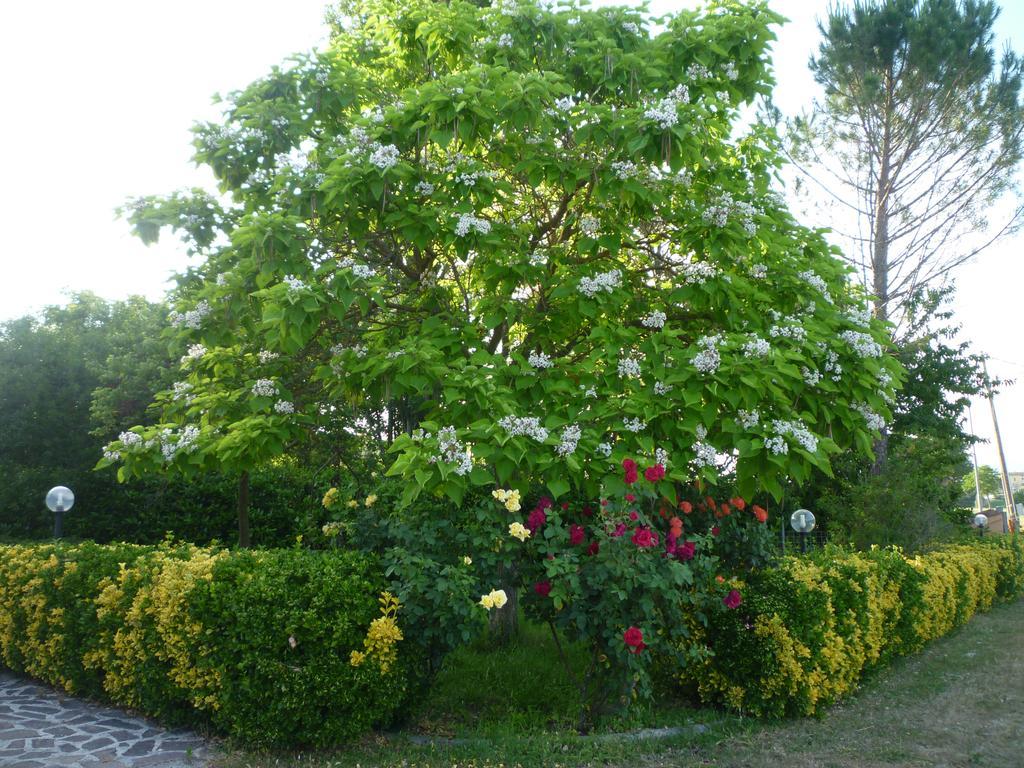 Tadinum Romana Gualdo Tadino Exterior photo